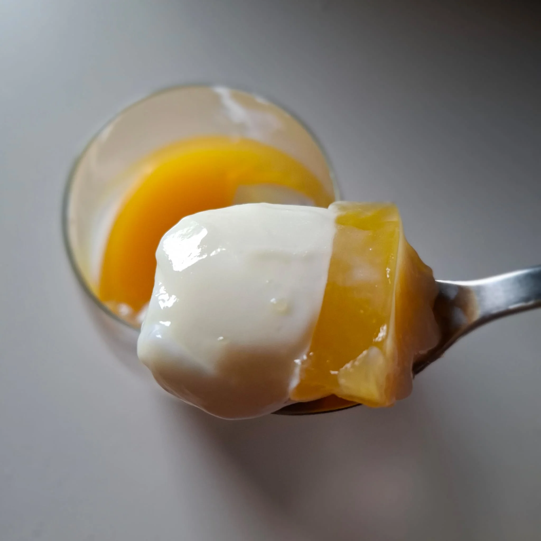 Panna cotta allo yogurt con gelatina al mango