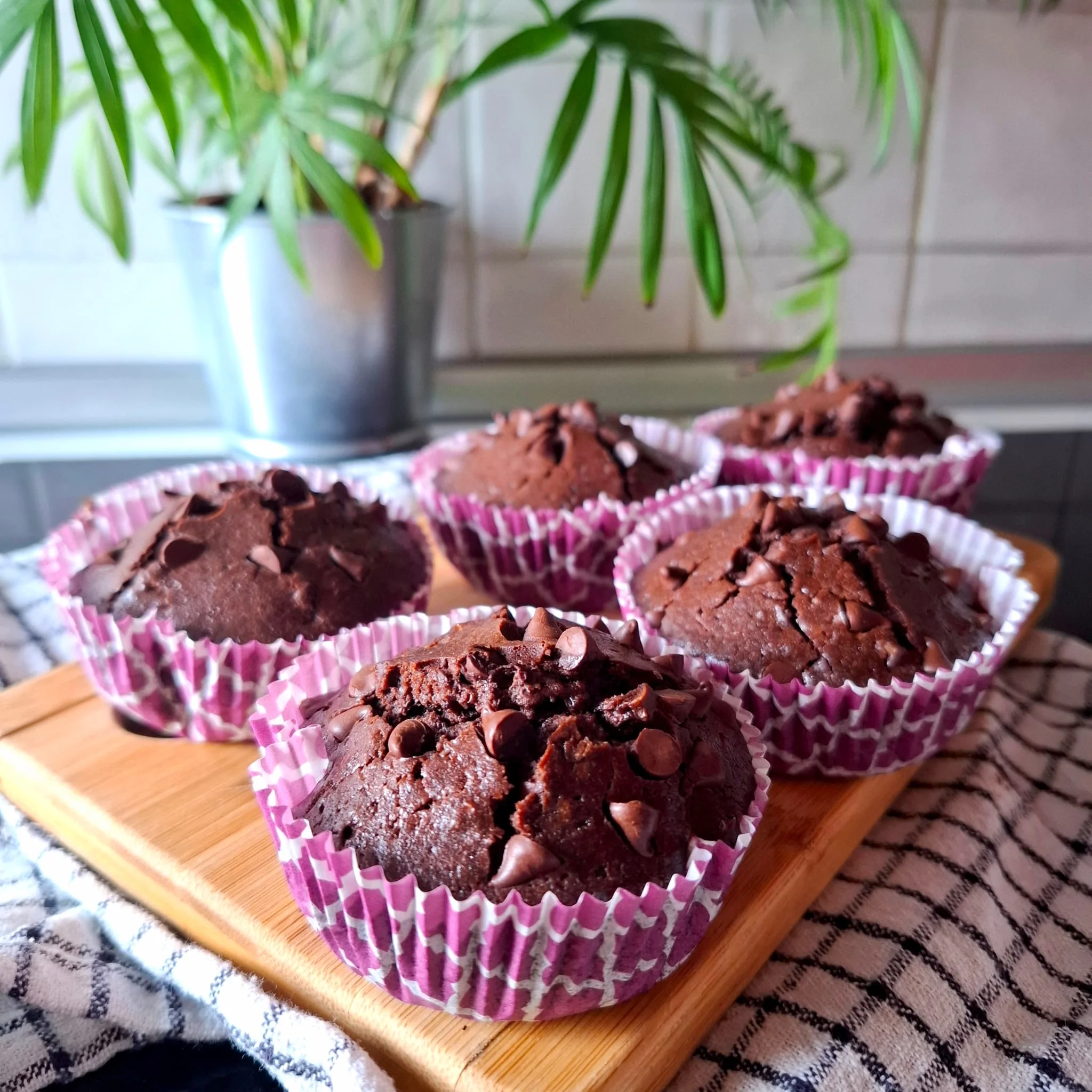 Muffin al cioccolato