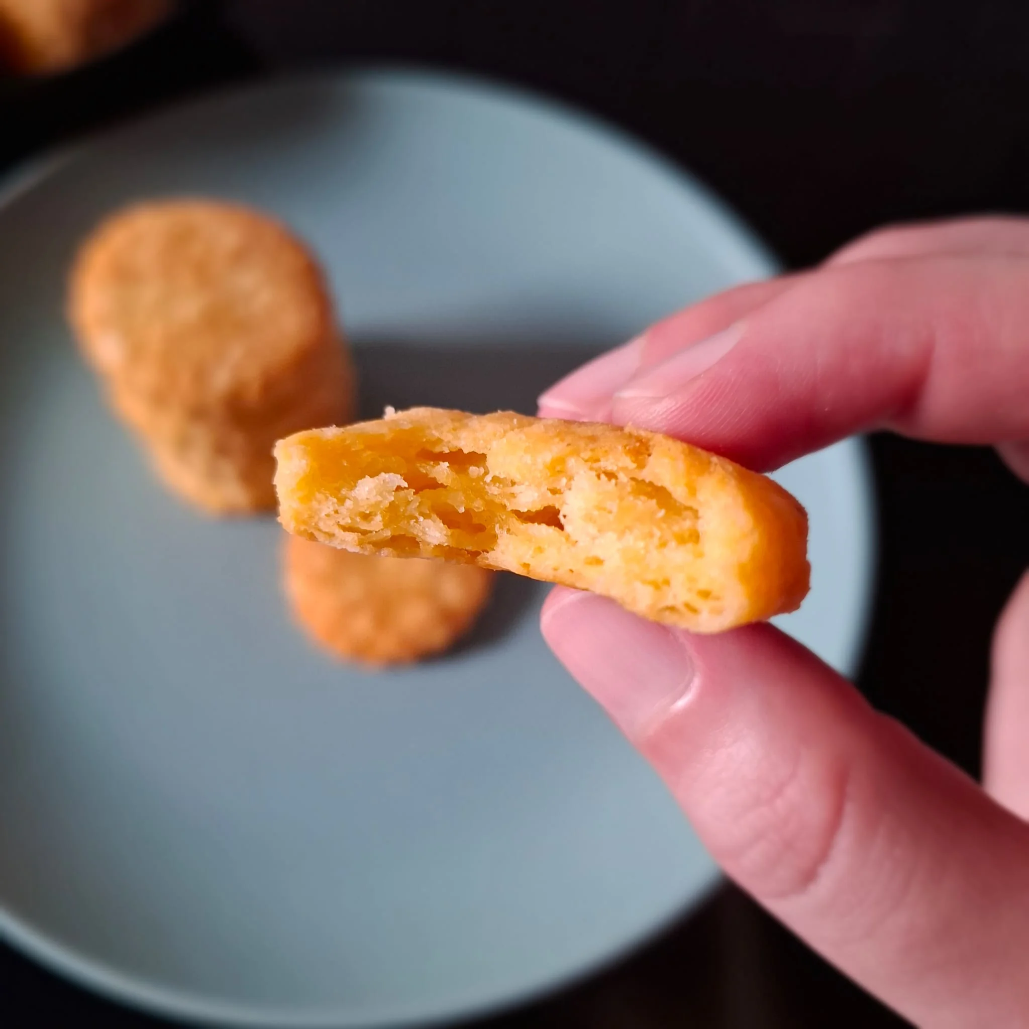 Biscottini al parmigiano